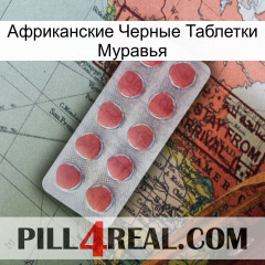 Африканские Черные Таблетки Муравья 18